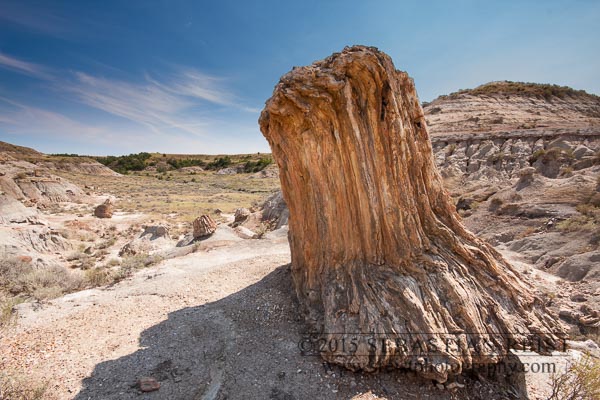 Theodore Roosevelt Natioanl Park