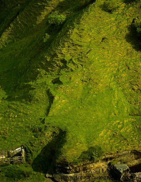 Sheep Path in Lealt, Scotland