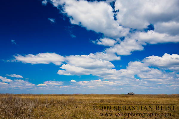 Shack on Delaware Bay